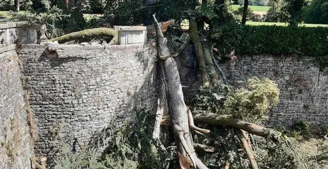 photo l’arbre s’est abattu dans les douves détruisant la balustrade et des dizaines de plants de pivoines. &copy; château de sourches