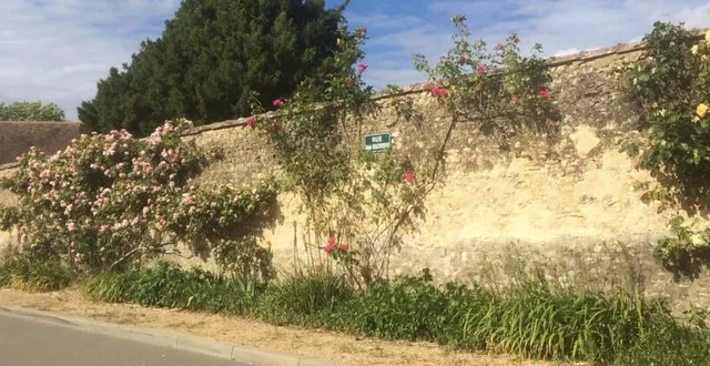 photo les parterres le long du mur du cimetière seront nettoyés. &copy; le maine libre