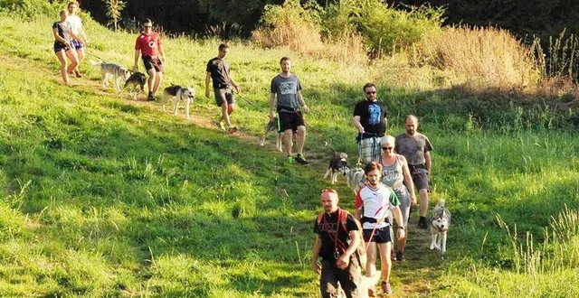 photo la canirando est une activité sportive dont le principe est de marcher relié à un chien husky par un harnais. &copy; archives