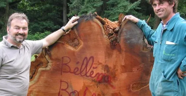 photo les frères chalmandrier ont intégré toute la filière bois, de l’abattage à l’exploitation du bois. &copy; ouest-france