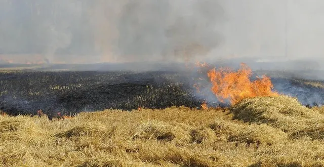 photo c’est la saison des incendies. les sapeurs-pompiers de la sarthe sont mobilisés. &copy; photo d’illustration archives le maine libre – yvon loue