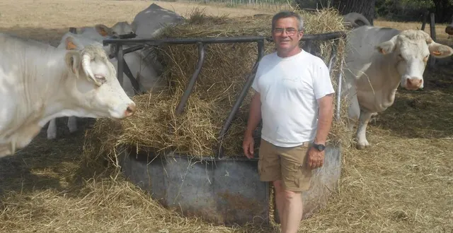 photo pascal langevin avec ses taurillons qui sont obligés de manger du foin, faute d’herbe verte. &copy; ouest-france