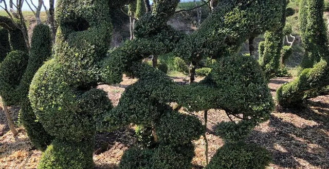 photo on peut y voir un tableau de miro. &copy; le maine libre