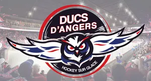 photo toute l'actu des ducs d'angers