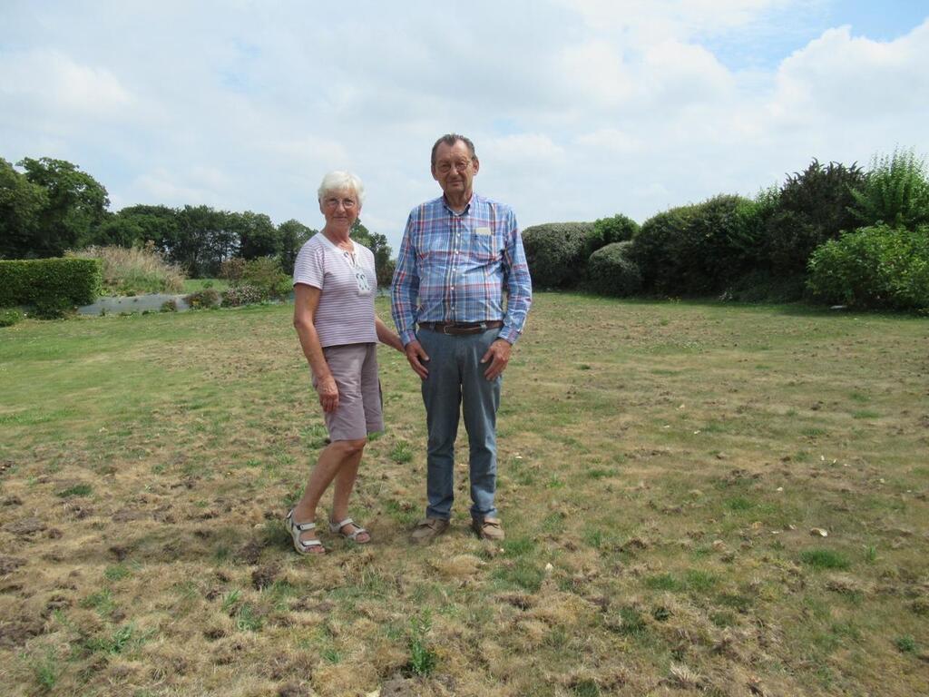 Troguéry. Chaque nuit, les blaireaux retournent la pelouse de Jacqueline  Olivier et Michel Haedens - Saint-Brieuc.maville.com