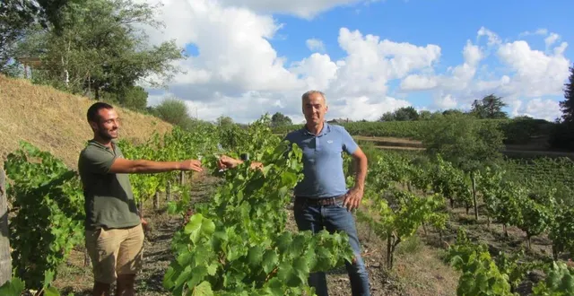 photo corentin forest (à gauche), maître du domaine de rochambeau, et sylvain braud, président du syndicat des coteaux de l’aubance, ont soigneusement préparé le parcours de 8 km pour cette 17e édition de vignes vins randos. une trentaine de vignerons des appellations anjou-brissac et coteaux de l’aubance y participeront. &copy; ouest-france