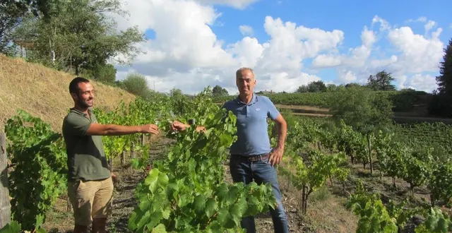 photo corentin forest (à gauche), maître du domaine de rochambeau, et sylvain braud, président du syndicat des coteaux de l’aubance, ont soigneusement préparéle parcours de 8 km pour cette 17e édition de vignes vins randos. une trentaine de vignerons des appellations anjou-brissac et coteaux de l’aubance y participeront. &copy; ouest-france
