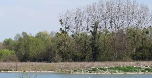 photo les ajeux à la ferté-bernard. &copy; archives le maine libre