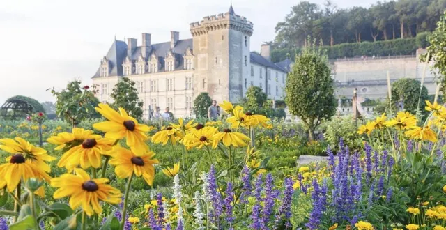 photo exemple type du jardin à la française, les jardins du château de villandry, en touraine, sont classés jardins remarquables. &copy; adt touraine loïc lagarde