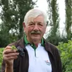 photo le vigneron amateur jean-claude bourdon présente fièrement ses grappes de pinot noir, déjà bien mûres. il annonce des vendanges plus précoces que d’habitude.