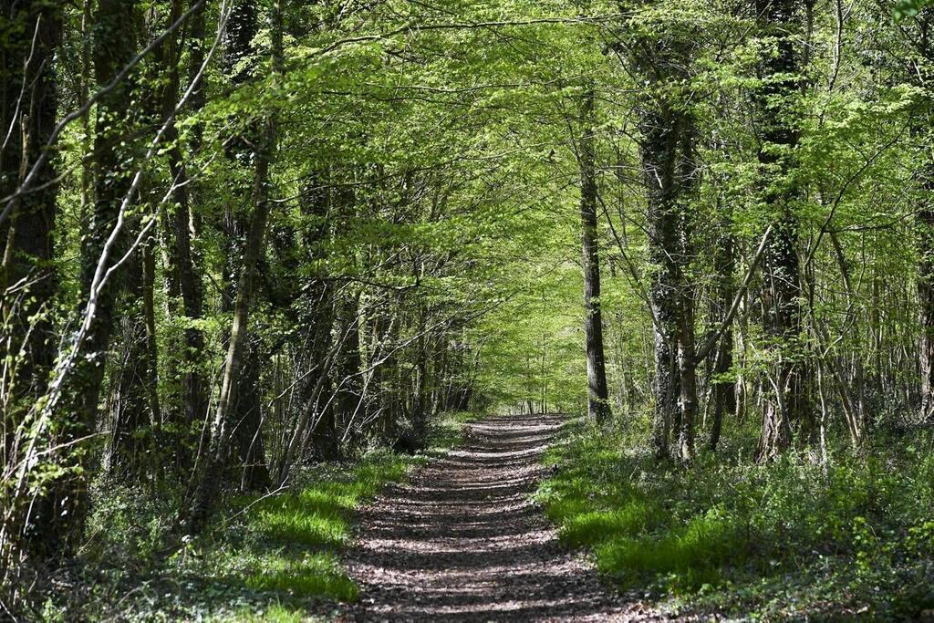 Le Mans. Pas besoin de masque l Arche de la nature Le Mans