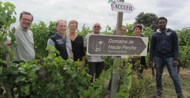 photo thierry denjean (à gauche), expert-comptable, a repris le domaine de haute-perche en 2019. l’équipe initiale, composée de serge bertrand, chef de chai ; josiane halopé, administrative et christophe bernard, chef de culture, a été rejointe par camille drouard, à l’œnotourisme ; manuela matignon, œnologue et idrissa diakilé, tractoriste. &copy; ouest-france