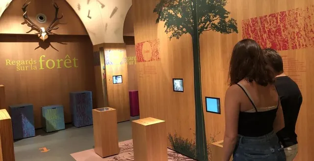 photo musée carnuta jupillles août 2020 &copy; le maine libre