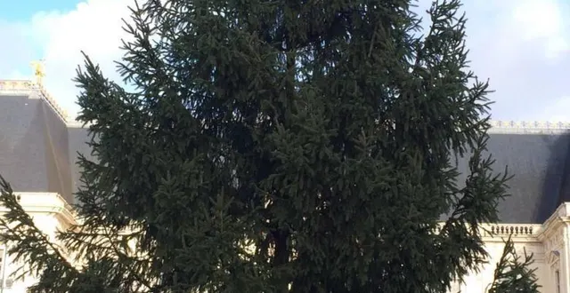 photo durant les fêtes de fin d’année, un grand sapin de noël est installé sur la place du parlement. &copy; archives ouest-france