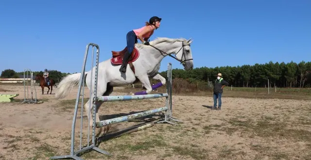 photo le centre équestre de sablé-sur-sarthe possède une vingtaine de chevaux. &copy; ouest-france