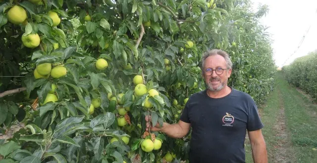 photo patrick langevin dans ses vergers. &copy; le maine libre
