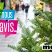photo débat. supprimer le sapin de noel : pour ou contre ?