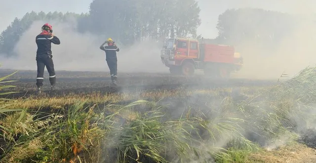 photo les sapeurs-pompiers sarthois ont été appelés à cinq reprises pour des feux de forêt ou de récolte. &copy; photo d’illustration archives le maine libre – yvon loué
