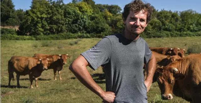 photo chemiré-le-gaudin, jeudi 30 juillet 2020. installé depuis deux ans avec sylvain giffard, jocelyn gainche mise sur une vision innovante de l’agriculture, et sur l’application de nouvelles pratiques. &copy; le maine libre - denis lambert