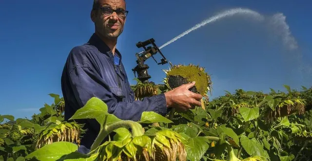 photo saint-germain-d’arcé, le 29 juillet 2020. eric loyau s’est fixé des règles de bonne conduite. comme utiliser l’eau de façon raisonnée pour irriguer ses parcelles. &copy; le maine libre – denis lambert