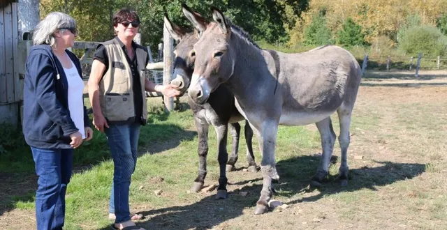 photo florence baratoux et catherine fritsch trouvent difficilement le sommeil, soucieuses de la sécurité de clovis et carlos, deux des sept équidés de leur cheptel. &copy; ouest-france