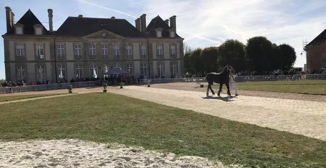 photo le projet du haras du pin allie tourisme et sports équestres. &copy; archive ouest-france
