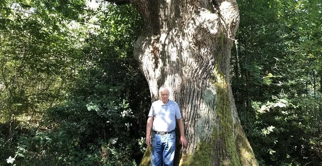 photo daniel guérinet connaît l’histoire du chêne au diable depuis son enfance. &copy; ouest-france