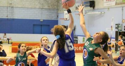 Cholet. Plus de 300 inscrits la section Basket de la Jeune