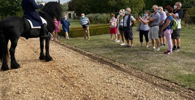 photo ici, la démonstration de dressage de cheval de race frison dans le parc du château de lorrière. &copy; le maine libre