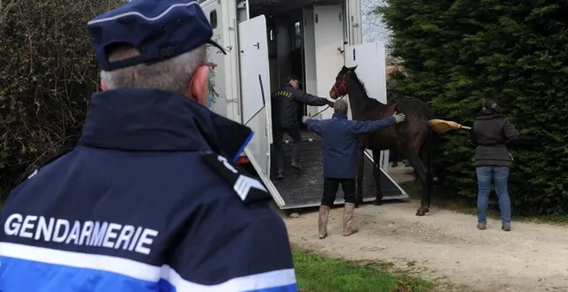 photo les gendarmes sarthoises enquêtent sur plusieurs cas d’animaux mutilés ou blessés. &copy; archives le courrier de l’ouest