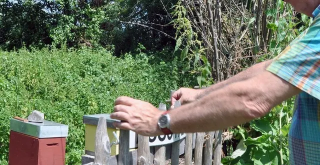 photo le programme de grain de pollen a été dévoilé pour le mois d’octobre. &copy; archives