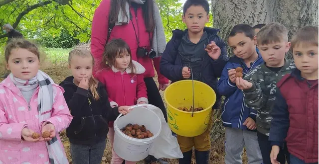photo les enfants de la classe de cp-ce1-ce2 d’amélie barbier. &copy; le maine libre