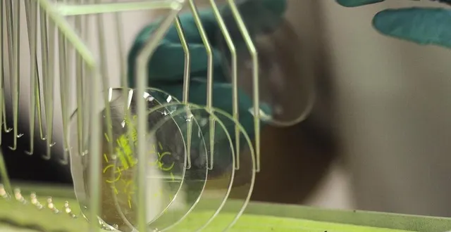 photo le site d’allonnes avait ouvert en 1985 &copy; archives le maine libre hervé petitbon