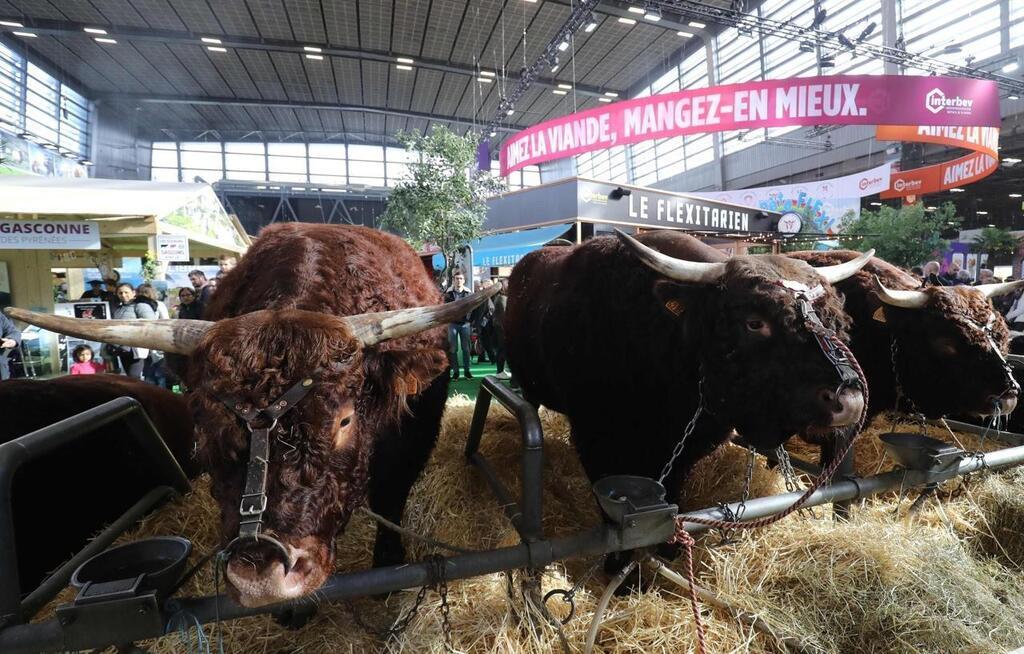 Salon de l’agriculture annulé des événements prévus à Paris et en