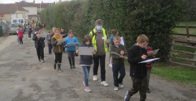 photo les écoliers apprennent à lire une carte d’orientation. &copy; ouest-france