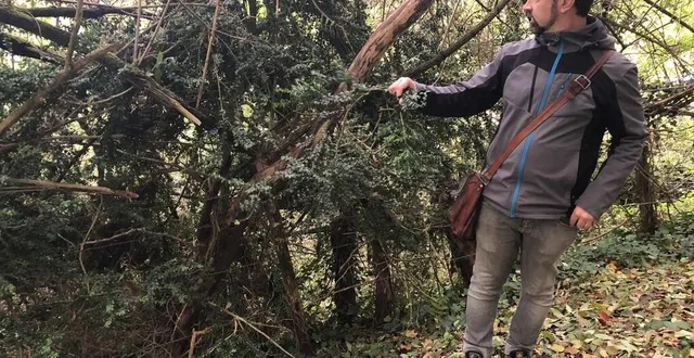 photo mercredi 21 octobre 2020, loïc nicolle, animateur nature pour le département, a proposé une sortie instructive dans les bois de mont-ormel. &copy; ouest-france