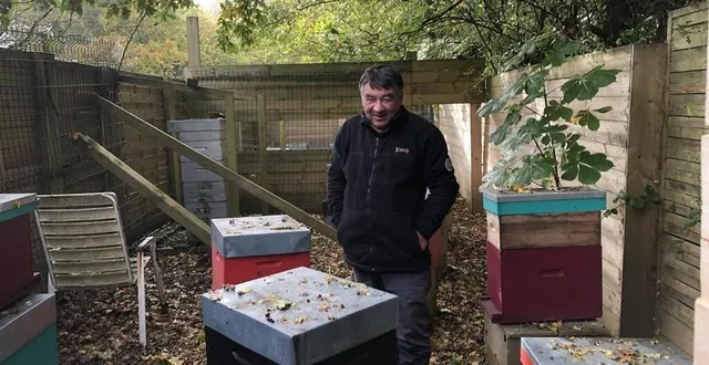 photo jean-pierre le goff est apiculteur en forêt d’andaine. il s’occupe de 160 ruches. &copy; ouest-france