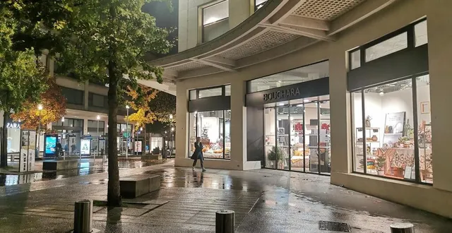 photo difficile d’y voir clair, samedi 31 octobre, dans les rues du centre commerçant de nantes. qui peut ouvrir ? qui n’en a pas le droit ? &copy; ouest-france