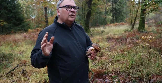 photo franck quinton, chef étoilé du restaurant le manoir du lys, à bagnoles-de-l’orne (orne) parcourt régulièrement la forêt d’andaine à la recherche de champignons pour confectionner ses plats. &copy; ouest-france