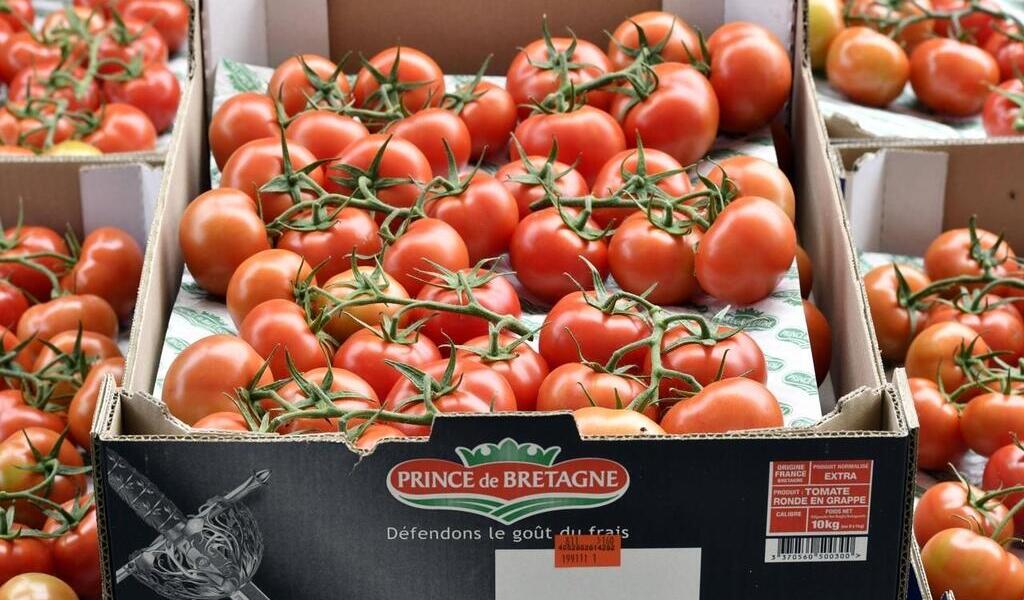 La tomate cerise grappe  Fruits Prince de Bretagne