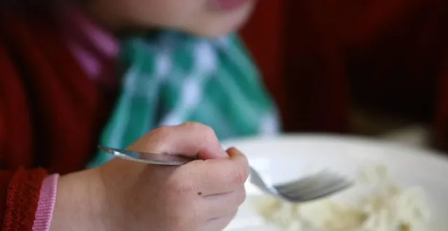 photo la gratuité dans les cantines du 11 mai au 3 juillet 2020 a représenté un coût de 450 000 €. &copy; archives le maine libre – denis lambert