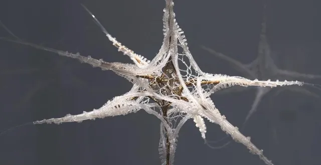 photo une des créations de l’artiste plasticienne. &copy; marjolaine salvador-morel.