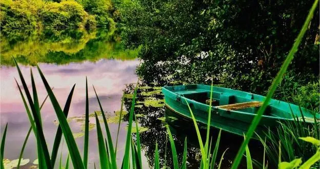 photo la petite balade bucolique d’arthur rabeau en bord de sarthe, à parcé-sur-sarthe. &copy; arthur rabeau