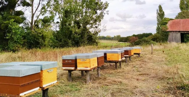 photo des ruches chez bahier à sceaux-sur-huisne. &copy; bahier