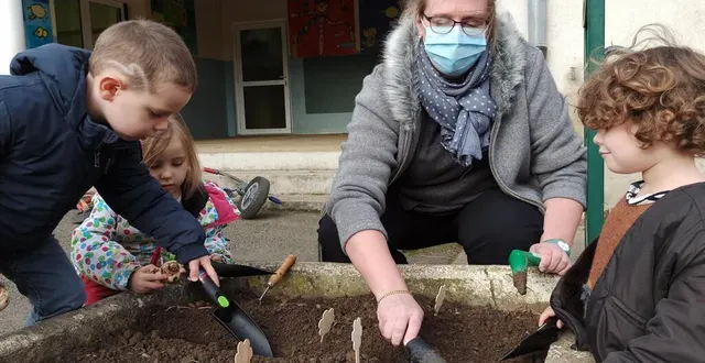 photo au niveau international, ibulb est organisateur de promotion du secteur des bulbes de fleurs. &copy; le maine libre