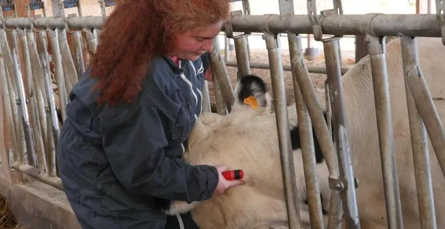 photo nayla cherino parra est vétérinaire et spécialisée dans la médecine naturelle depuis une quinzaine d’années. &copy; le maine libre