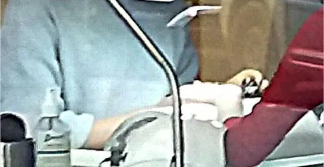 photo des professionnels exercent derrière leur vitrine. &copy; photo le maine libre