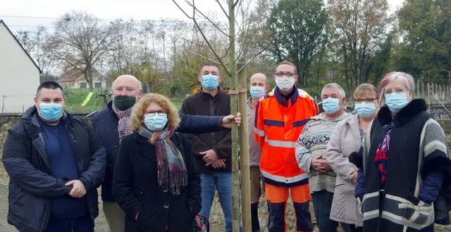 photo quatorze arbres ont été plantés par la municipalité. &copy; le maine libre