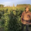 photo fabien boul dans la pépinière. chaque année, l’entreprise familiale dirigée par les trois frères boul, fabien, ludovic et franck, vend environ 150 000 sapins pour noël, des arbres produits localement.