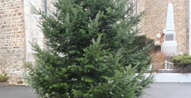 photo le sophora remplacé par le sapin de noël. &copy; ouest-france